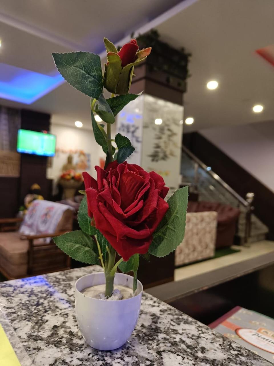 King Castle Mcleodganj-Centrally Heated And Air Cooled- Near Mall Road - Free Parking 다람샬라 외부 사진